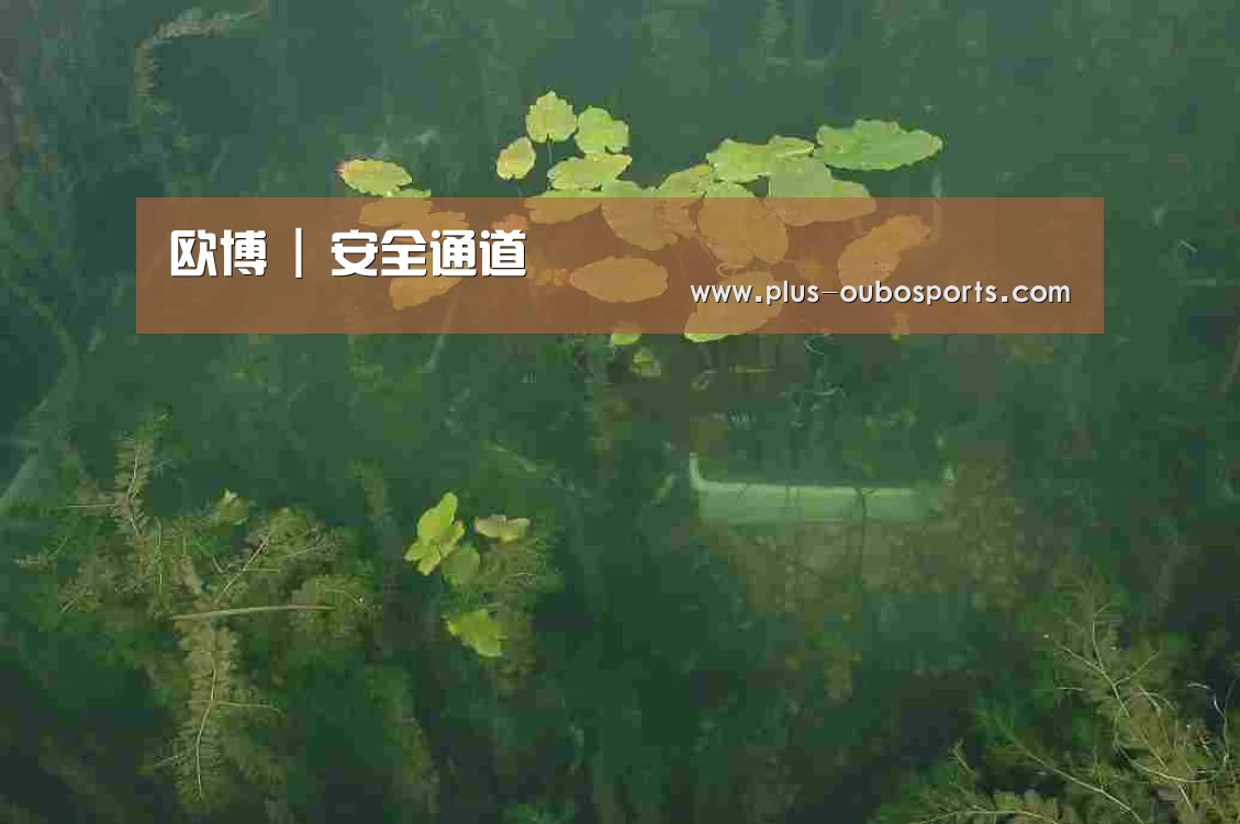 案例展示三(图1)