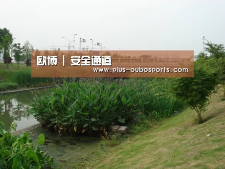 案例展示四(图1)