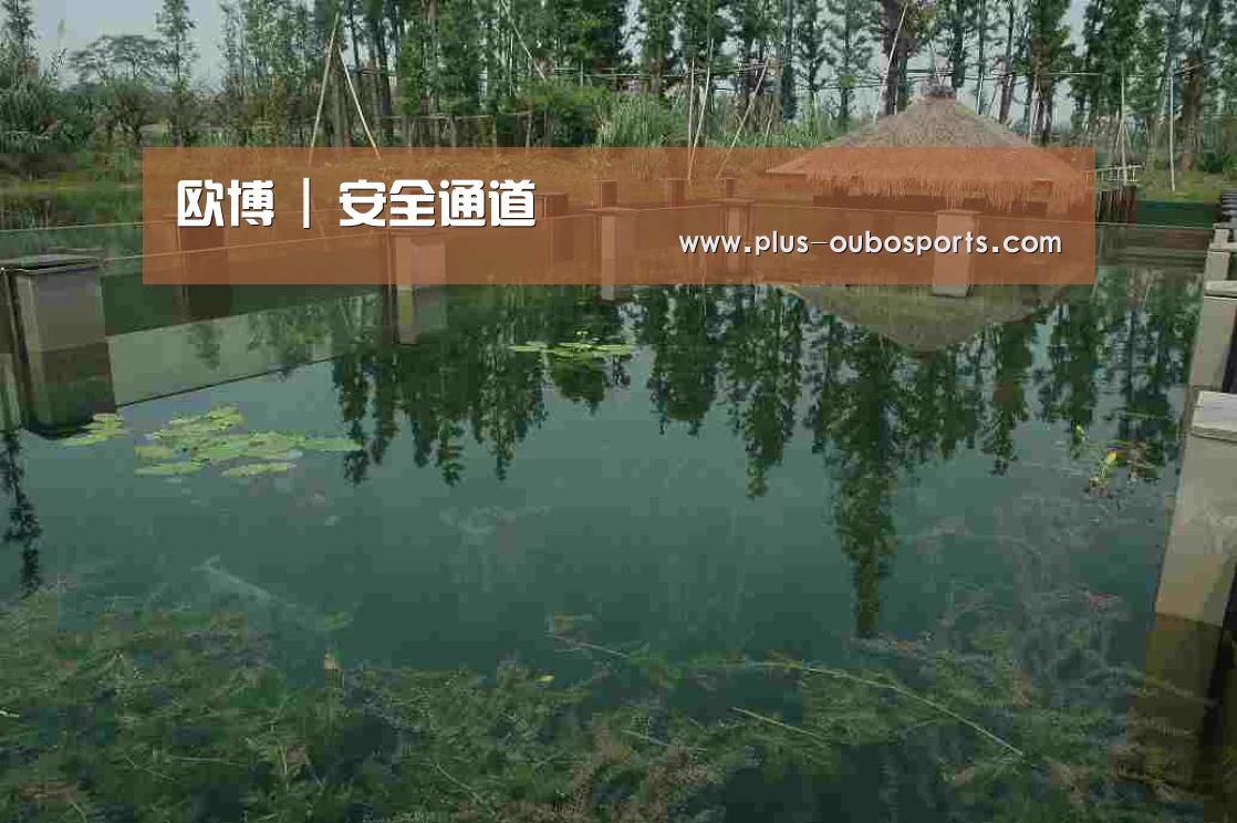 案例展示二(图1)