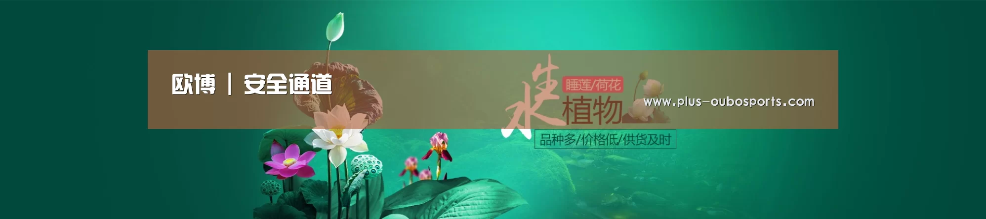 鲜花水草花卉网站模板