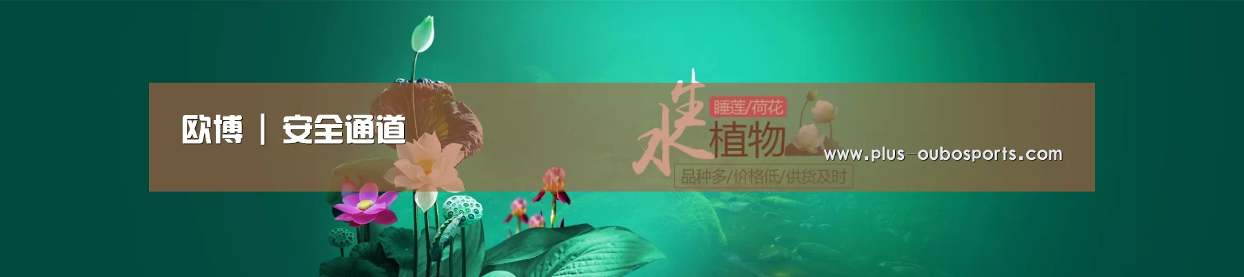 鲜花水草花卉网站模板