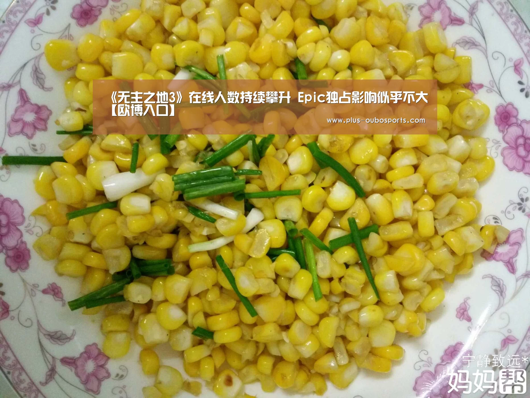 《无主之地3》在线人数持续攀升 Epic独占影响似乎不大【欧博入口】(图2) 欧博官网