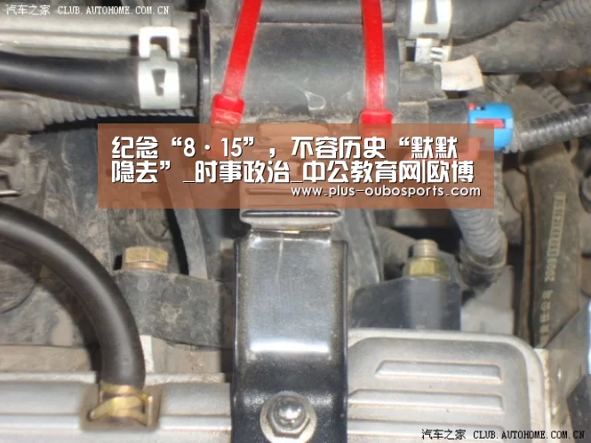 纪念“8·15”,不容历史“默默隐去”_时事政治_中公教育网|欧博入口