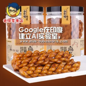 Google在印度建立AI实验室,致力于农业、医疗、教育|欧博官网(图2) 欧博入口