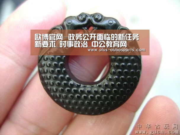欧博官网-政务公开面临的新任务新要求_时事政治_中公教育网