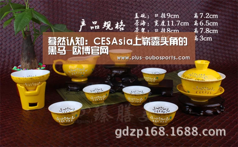 蓦然认知:CESAsia上崭露头角的黑马-欧博官网(图3) 欧博官网