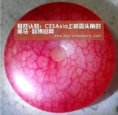 蓦然认知:CESAsia上崭露头角的黑马-欧博官网(图2) 欧博入口
