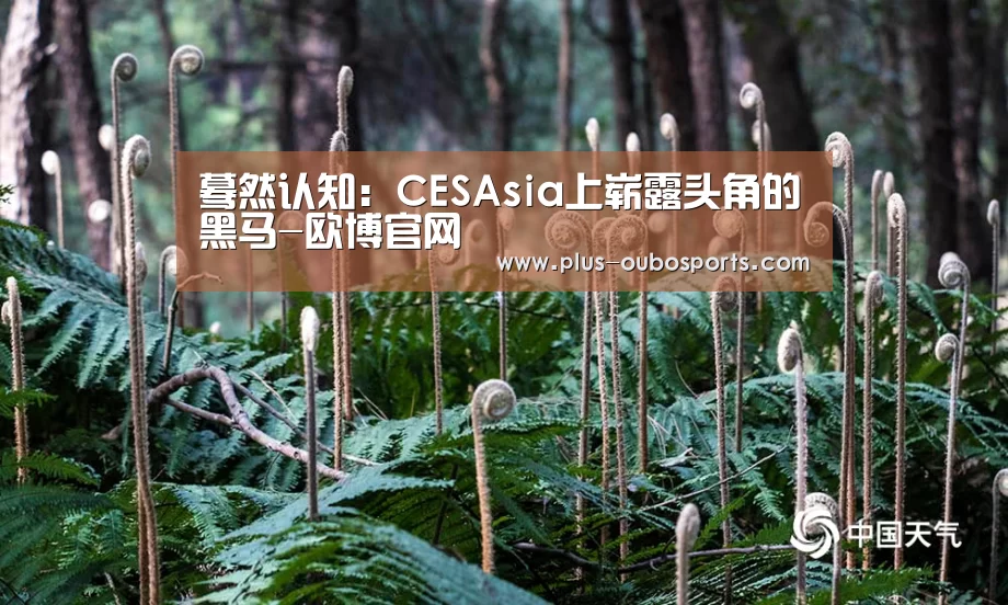 蓦然认知:CESAsia上崭露头角的黑马-欧博官网(图1) 欧博官网